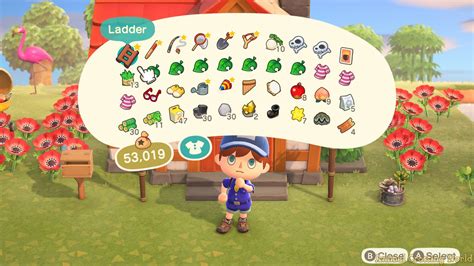 animal crossing bigger inventory.